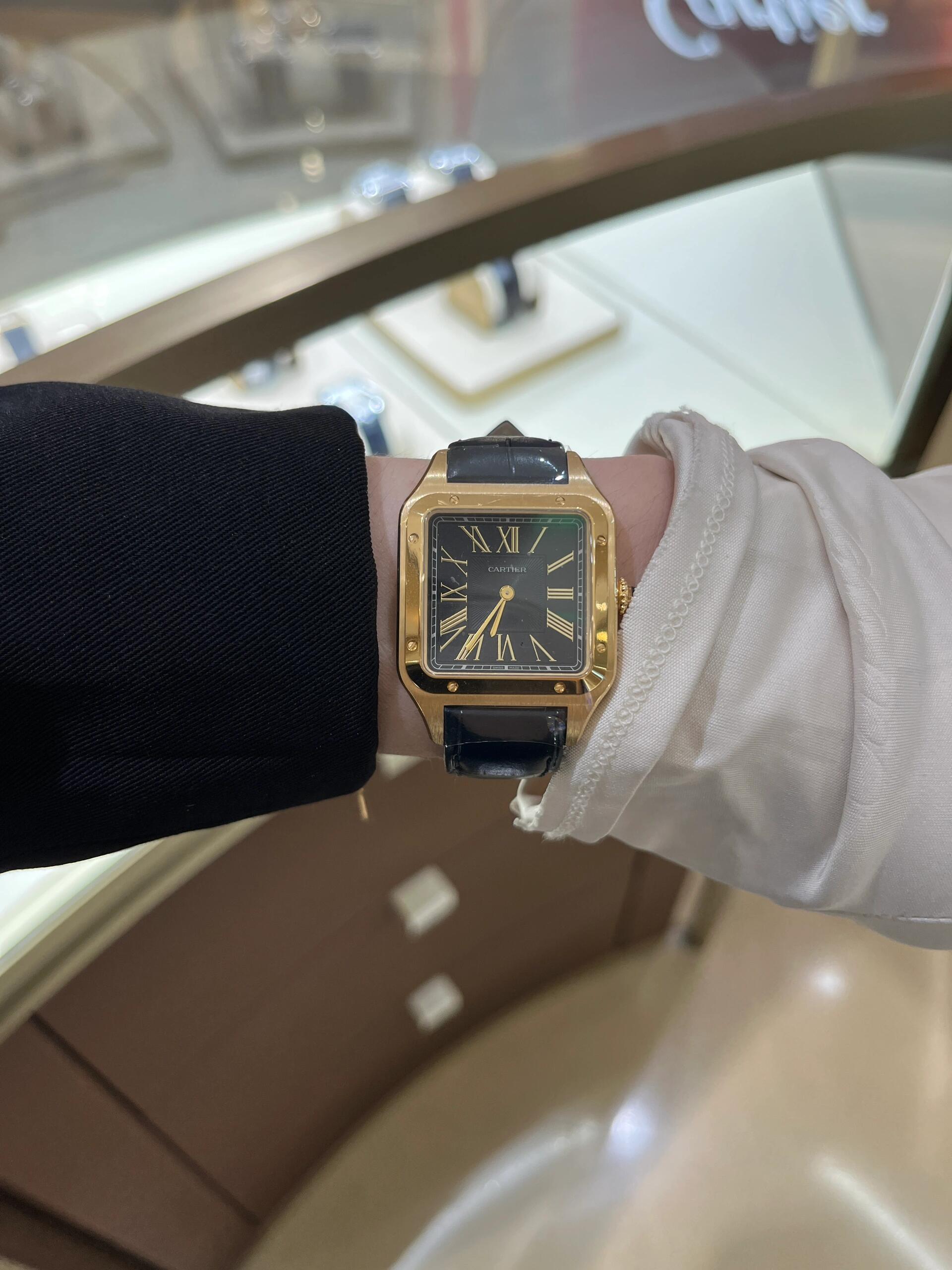 Ca*t*er watch