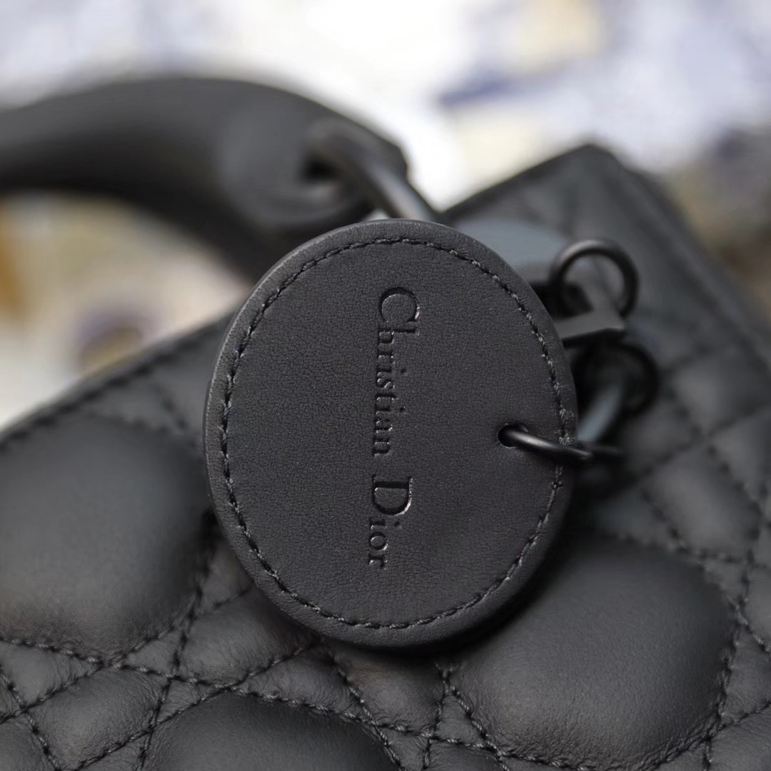 lady D*or bag-17cm