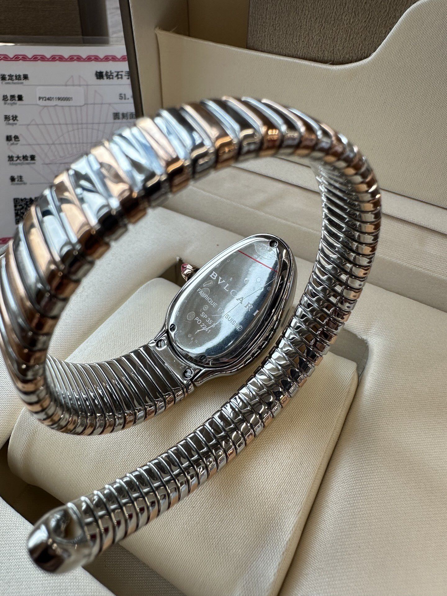 Bv1g*ai watch