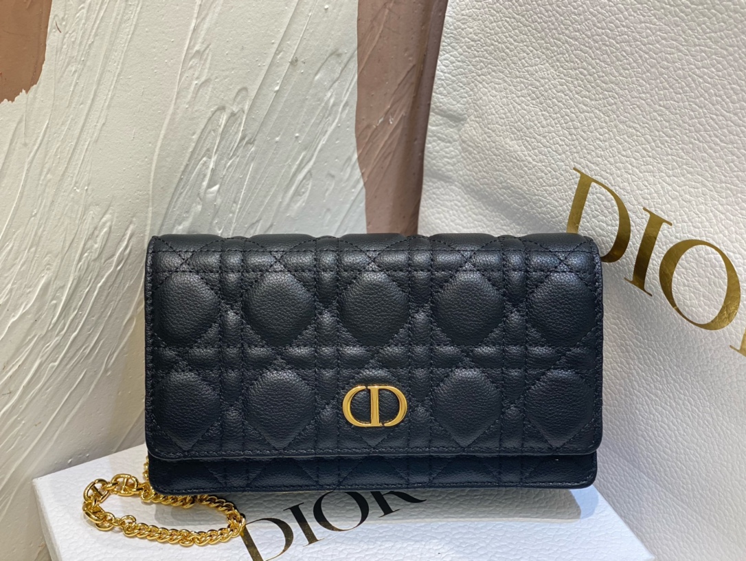 D*or 2022 caro bag-20 x 11.5 x 3.5cm