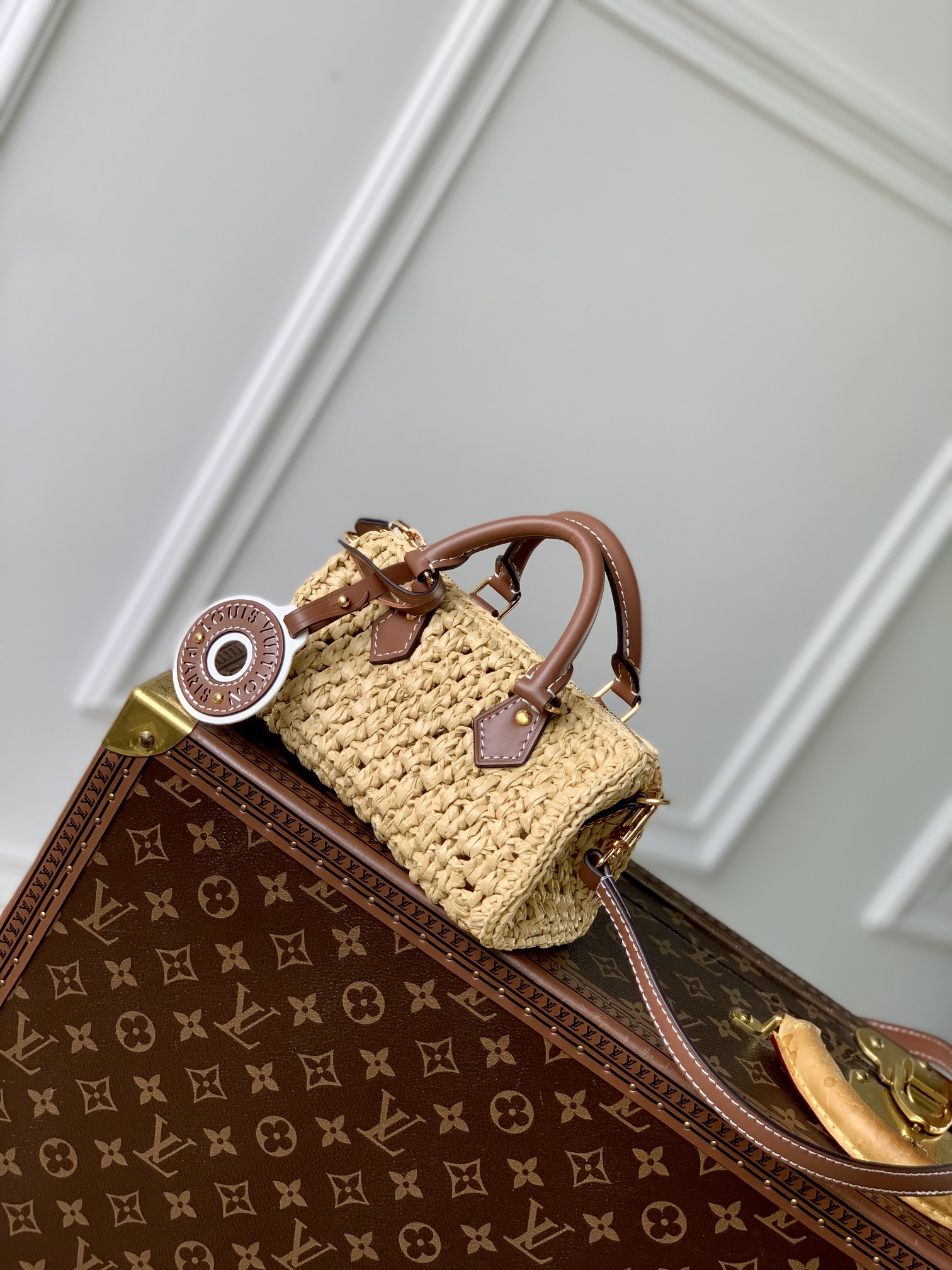l0*is V*t0n nano speedy-16*10*7.5cm