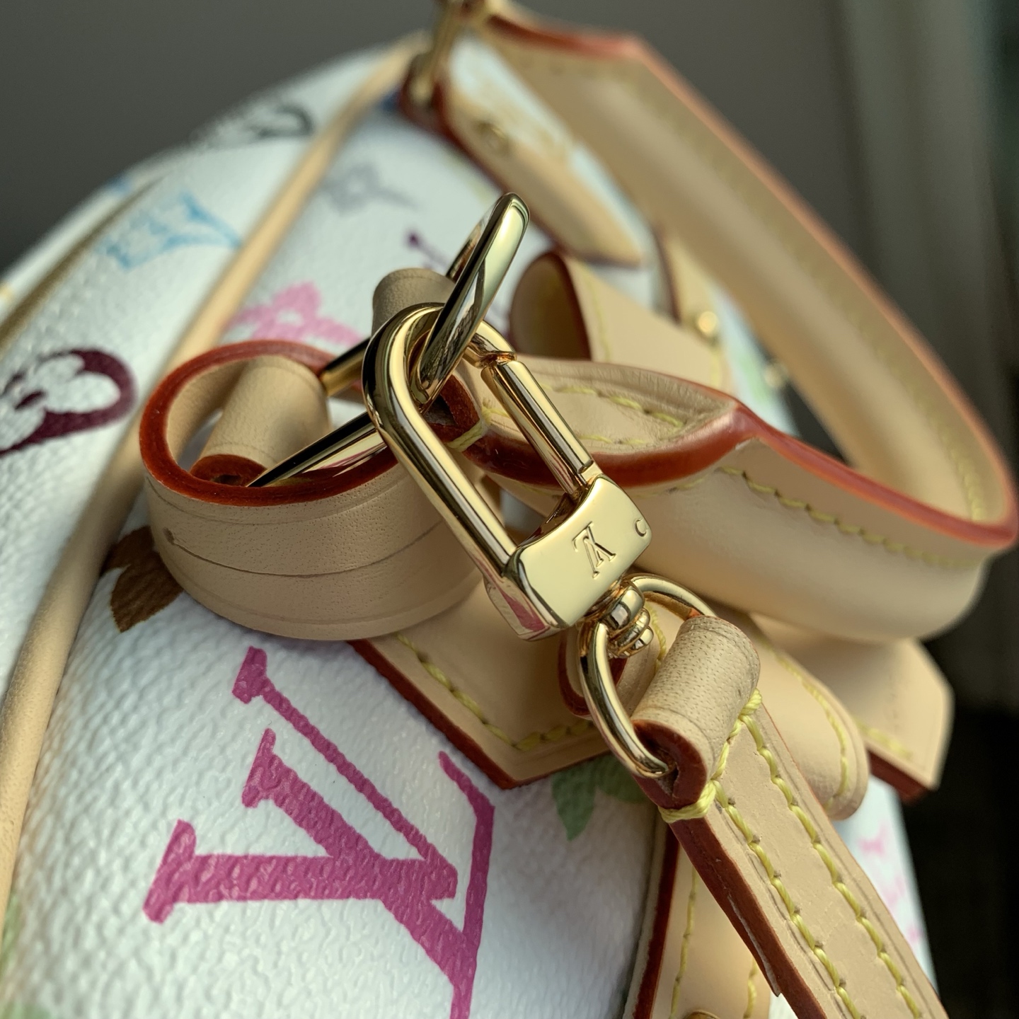 LV x TM Handbag East West Other Monogram Canvas - Handbags-14 x 10 x 27CM
