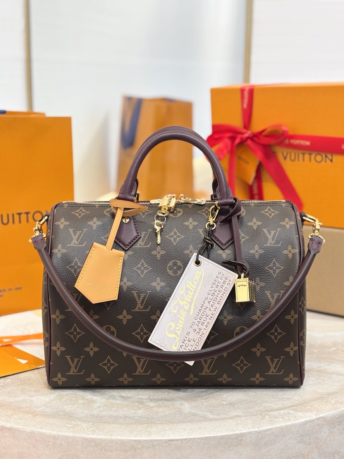 L0vis Vvtt0n Speedy Soft 30 Lucky-21 x 17 x 30CM