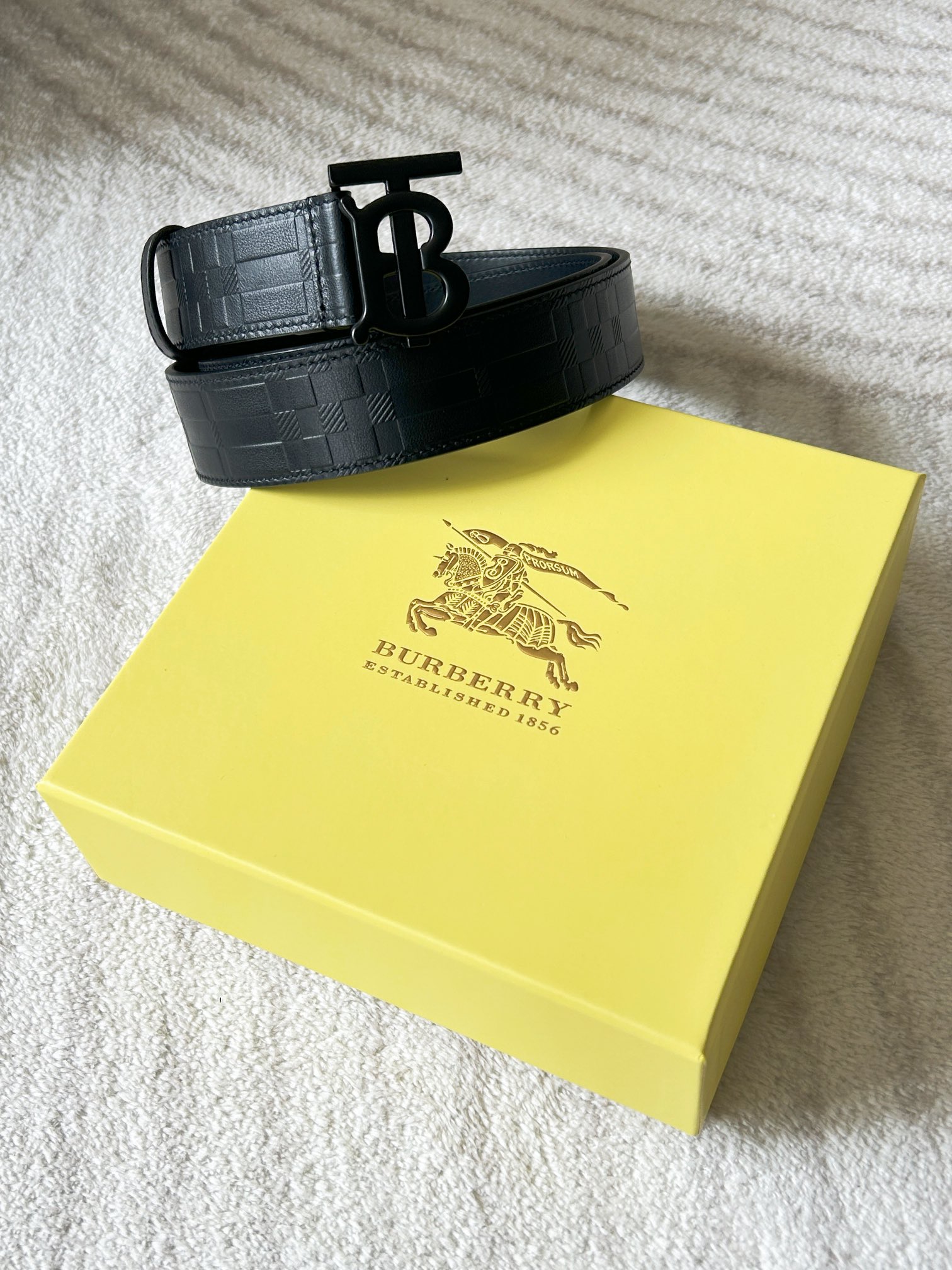Bv*b*rry Belt-3.5CM