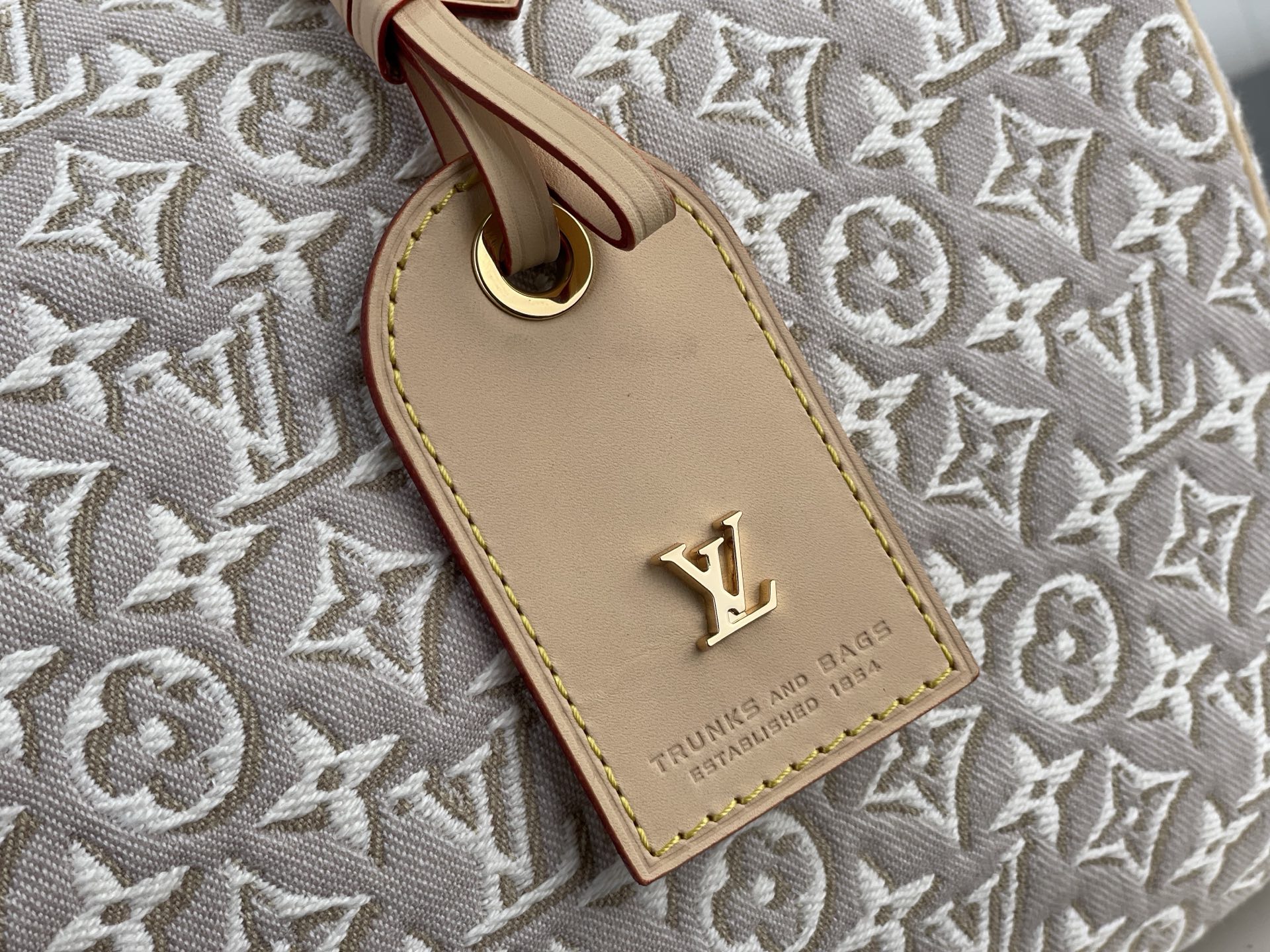 L0vis Vvtt0n Speedy Soft 30 Bags -M28479-30*21*17CM